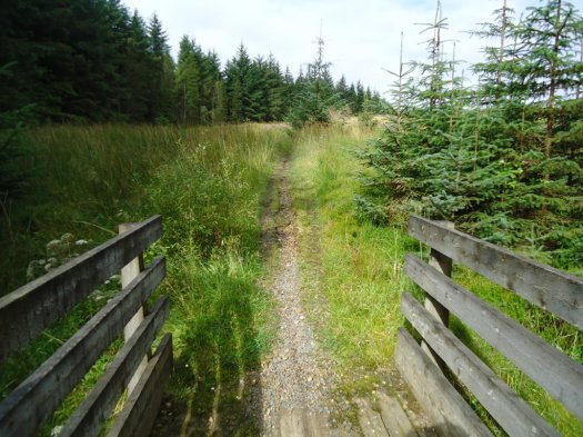 Bridge near the top of the route down