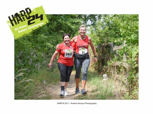 HARP BRANDED 12 (1024x768)